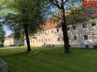 Wohnung mieten in 4400 Steyr (Bild 1)