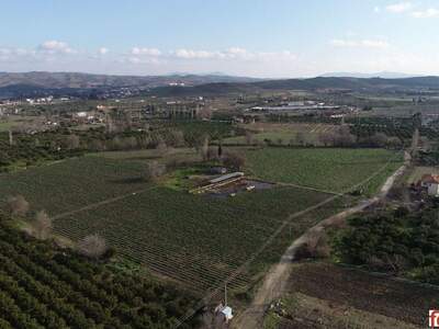 Grundstück kaufen in 150186 Seferihisar (Bild 3)