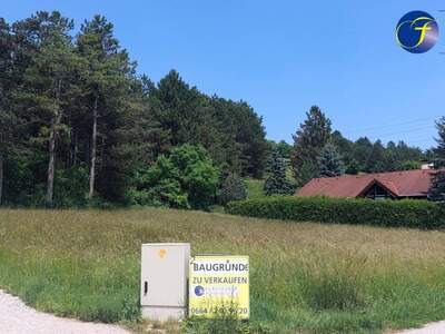 Grundstück kaufen in 2560 Berndorf