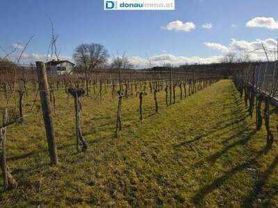 Grundstück kaufen in 3561 Zöbing