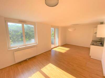 Apartment provisionsfrei mieten in 1100 Wien