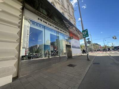 Gewerbeobjekt mieten in 1060 Wien (Bild 3)