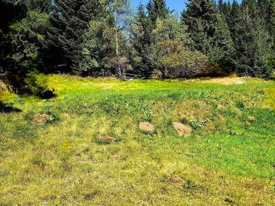 Grundstück kaufen in 8742 Sankt Anna