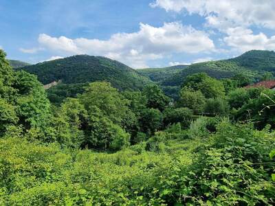 Grundstück kaufen in 2391 Kaltenleutgeben