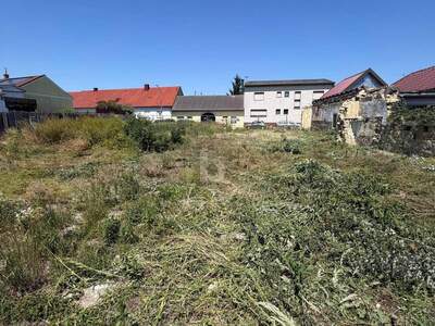 Grundstück kaufen in 2462 Wilfleinsdorf