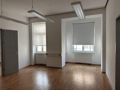 Gewerbeobjekt mieten in 1190 Wien (Bild 2)