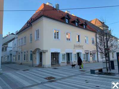 Anlageobjekt kaufen in 2700 Wiener Neustadt (Bild 1)
