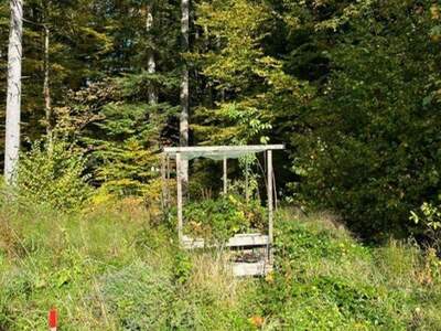 Grundstück kaufen in 5321 Koppl