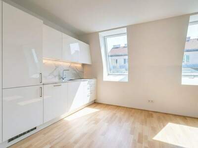 Wohnung kaufen in 1020 Wien