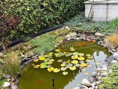 Haus mit Garten kaufen in 4061 Pasching (Bild 5)