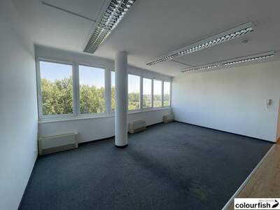 Gewerbeobjekt mieten in 1210 Wien (Bild 5)
