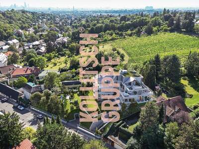 Wohnung kaufen in 1190 Wien