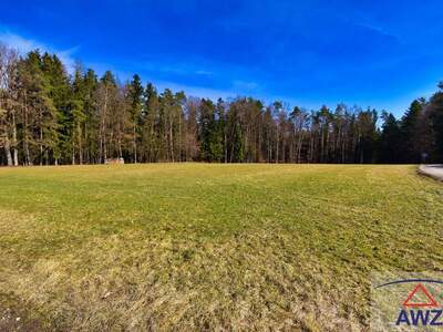 Grundstück kaufen in 8062 Kumberg