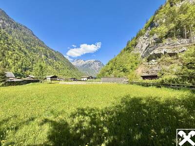 Grundstück kaufen in 5093 Weißbach (Bild 3)