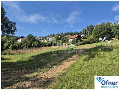 Grundstück kaufen in 8572 Hochtregist