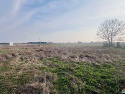 Grundstück kaufen in 2201 Seyring (Bild 2)