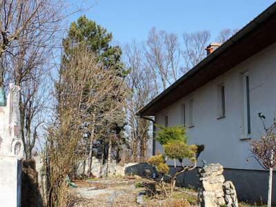 Haus mit Garten kaufen in 7091 Breitenbrunn (Bild 5)