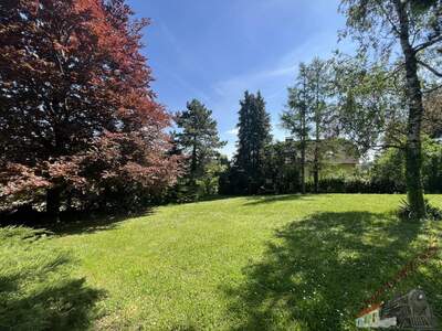 Einfamilienhaus kaufen in 2113 Karnabrunn (Bild 4)