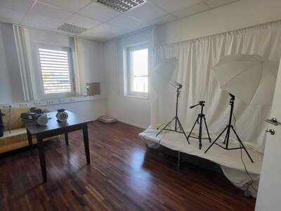 Gewerbeobjekt mieten in 4614 Marchtrenk (Bild 5)