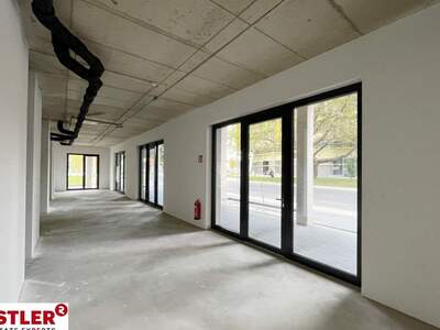 Gewerbeobjekt mieten in 8020 Graz (Bild 1)