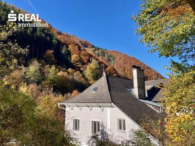 Chalet kaufen in 3340 Waidhofen (Bild 2)