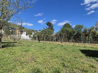 Grundstück kaufen in 2103 Langenzersdorf (Bild 1)