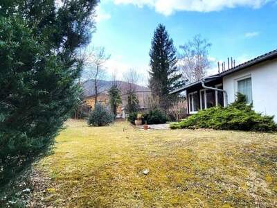 Haus kaufen in 2650 Payerbach