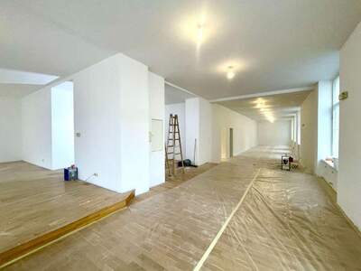 Gewerbeobjekt mieten in 1090 Wien (Bild 2)