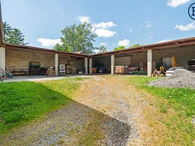 Gewerbeobjekt kaufen in 2286 Haringsee (Bild 4)