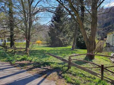 Grundstück kaufen in 3400 Maria Gugging (Bild 3)