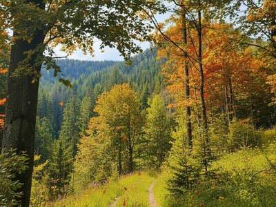 Anlageobjekt kaufen in 8614 Breitenau