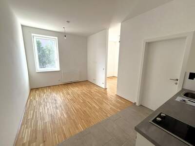 Altbauwohnung mieten in 4040 Linz (Bild 1)