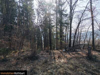 Grundstück kaufen in 8605 Kapfenberg (Bild 5)