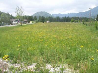 Gewerbeobjekt mieten in 8630 Mariazell