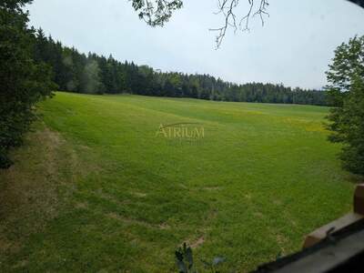 Grundstück kaufen in 2454 Sarasdorf