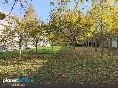 Grundstück kaufen in 2432 Schwadorf (Bild 4)