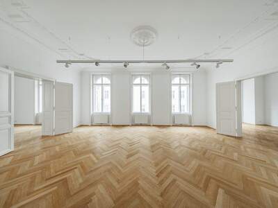 Gewerbeobjekt mieten in 1090 Wien (Bild 1)