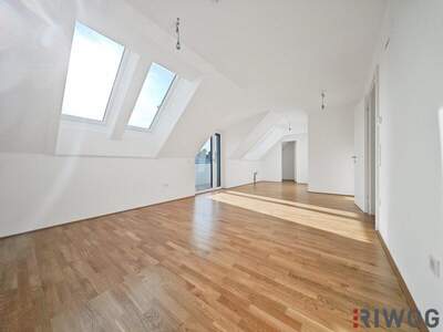 Terrassenwohnung kaufen in 2000 Stockerau (Bild 4)