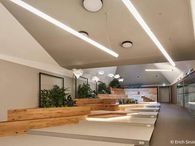 Gewerbeobjekt mieten in 1100 Wien