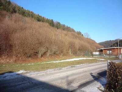 Grundstück kaufen in 2831 Scheiblingkirchen