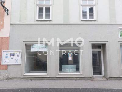 Gewerbeobjekt mieten in 4470 Enns (Bild 2)