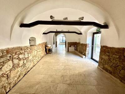 Gewerbeobjekt mieten in 8160 Weiz (Bild 3)