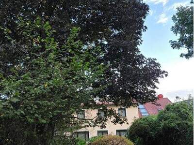 Einfamilienhaus kaufen in 1210 Wien (Bild 2)