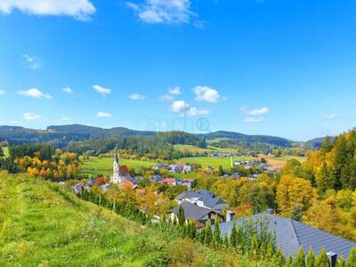 Grundstück kaufen in 4204 Reichenau