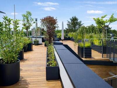 Terrassenwohnung kaufen in 1220 Wien (Bild 2)