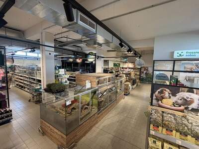 Wohnanlage kaufen in 5073 Wals (Bild 5)