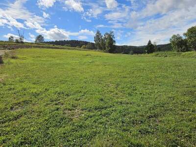Grundstück kaufen in 4272 Weitersfelden