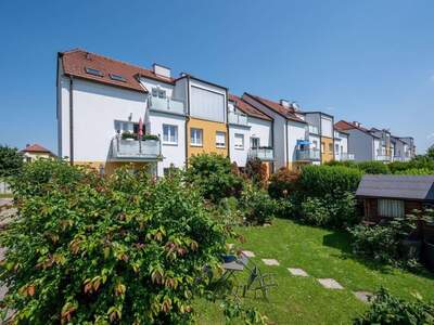 Mietwohnung provisionsfrei in 3484 Grafenwörth