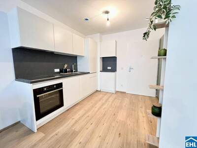 Wohnung mieten in 4020 Linz