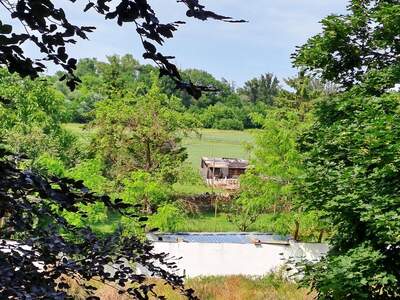 Mehrfamilienhaus kaufen in 2431 Enzersdorf (Bild 2)